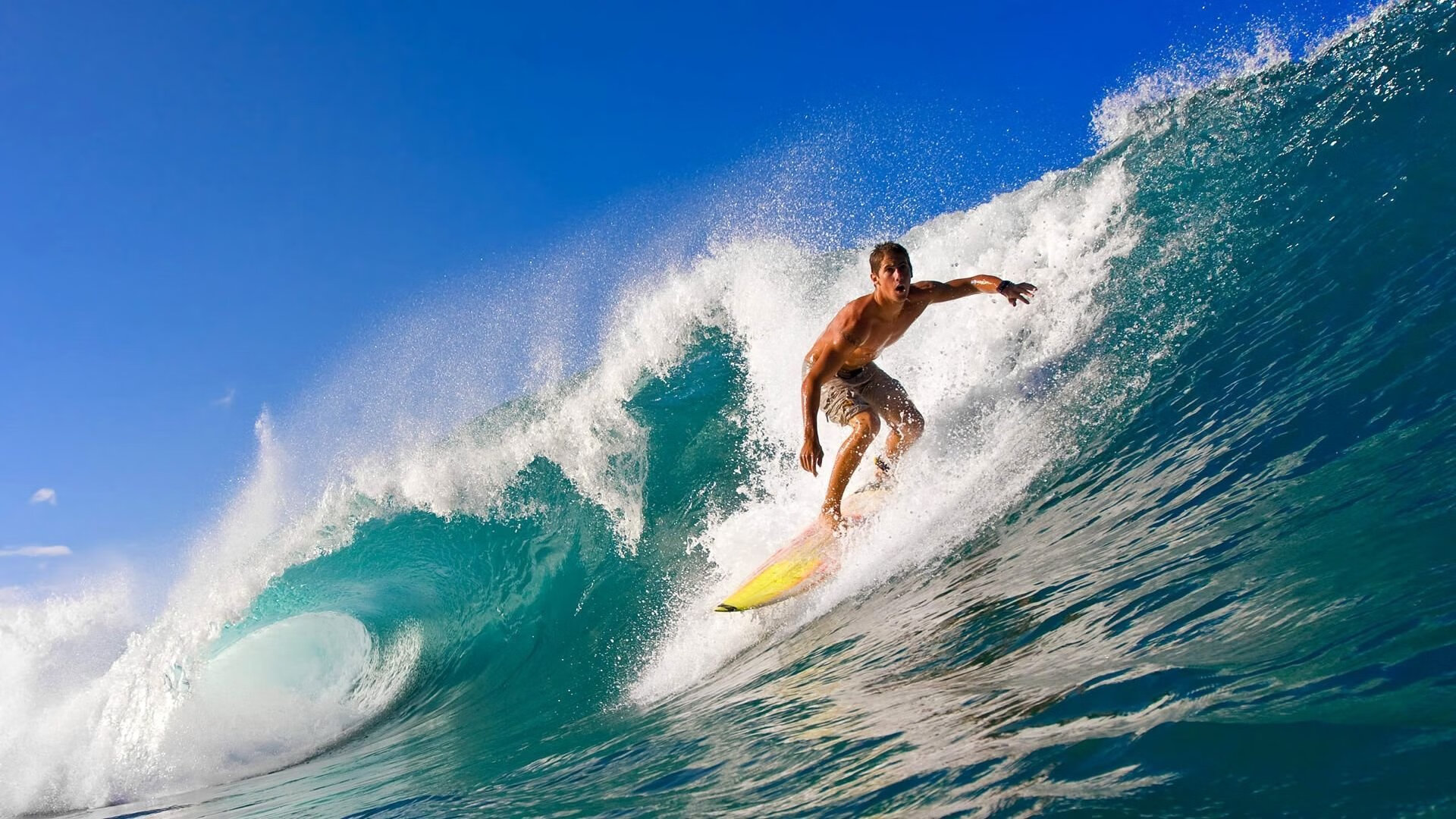 俱乐部在社区活动中加强球迷互动并扩展影响,社区体育俱乐部发展现状